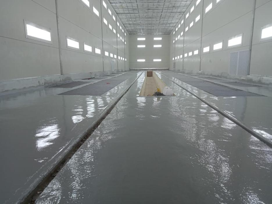 Washing System